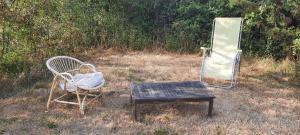 a chair and a table and a mirror in a field at Une roulotte dans les vignes Ancenis in Vallons-de-l'Erdre +3 photos