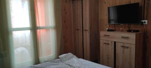 a bedroom with a bed and a television on a cabinet at ApartmanMN in Žabljak +17 photos