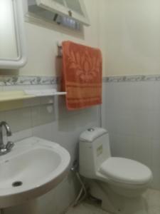 a bathroom with a toilet and a sink and a towel at Ibrahim lodge restaurant in Astor