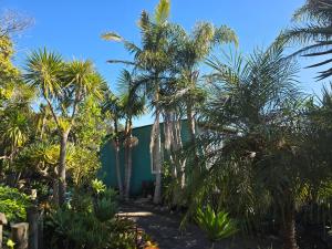 a green building with palm trees in front of it at The Nikau Loft in Onetangi +8 photos