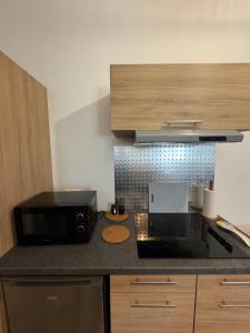 a kitchen with a counter with a microwave and a counter top at Le Nid Malouin in Saint Malo +4 photos