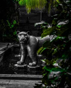 a statue of a bear standing in the water at Hotel Bo in San Cristóbal de Las Casas