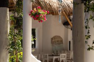 a hanging basket of pink flowers on a building at Hotel Natali 2 in Dhërmi