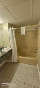 a bathroom with a shower and a tub and a sink at Red Carpet Inn Williamstown in Williamstown