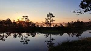a body of water with trees and the sunset in the background at Voore Korterid in Ohukotsu