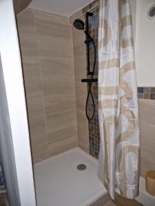 a shower with a shower curtain in a bathroom at Le Logis de Meung Sur Loire in Meung-sur-Loire