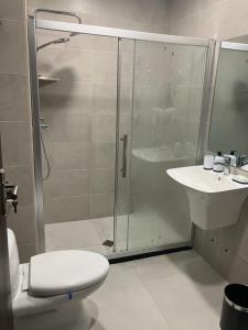 a bathroom with a shower and a toilet and a sink at Vista Studio in Bakuriani +54 photos