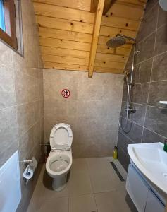 a bathroom with a toilet and a sink at Villa Albani in Peje +14 photos
