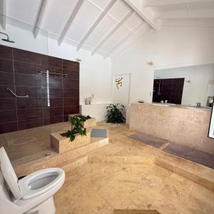 a bathroom with a toilet and a shower and a sink at Terra Taina Boutique Bed&Breakfast in Las Terrenas +28 photos