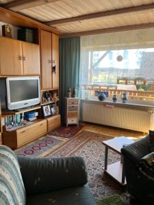 a living room with a couch and a television at Haus Schneebergblick in Röslau
