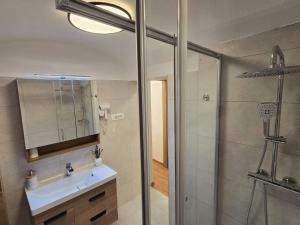 a bathroom with a sink and a shower at Ludo Rooms in Radlje ob Dravi