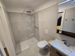 a bathroom with a shower and a toilet and a sink at Ludo Rooms in Radlje ob Dravi
