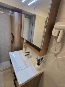 a bathroom with a white sink and a mirror at Ludo Rooms in Radlje ob Dravi +3 photos