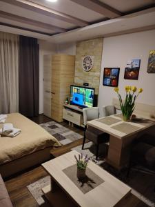 a living room with two beds and a television at Milmari Kopaonik in Kopaonik