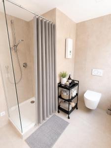 a bathroom with a shower and a toilet at Altstadt-Loft Würzburg in Würzburg