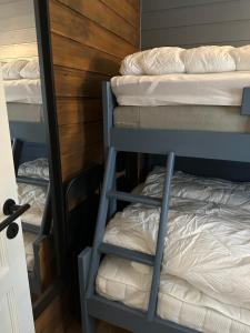 a bunk bed room with two bunk beds and a bunk bed at Oppdal Alpintun in Oppdal