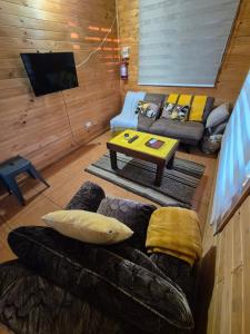 a living room with a couch and a table at Cabañas Alfa Colbun Machicura in Linares