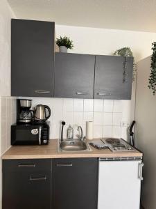 a kitchen with a sink and a microwave at Modern Apartment Close to Bus Station in Würzburg