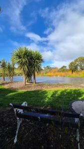a park bench in front of a lake with palm trees at Frogs Hollow in Greytown
