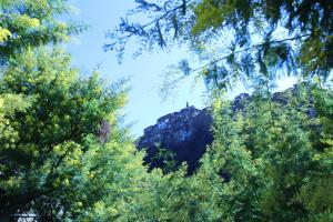 Blick auf einen Berg durch die Bäume in der Unterkunft Casa Luna in Apricale