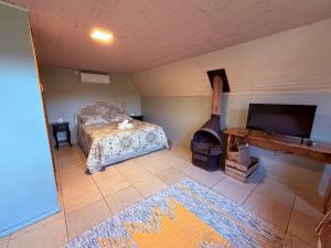 a bedroom with a bed and a fireplace and a television at Pousada refúgio do lago in Lages