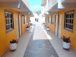 an empty hallway between two buildings with potted plants at Posada del Ángel in Pachuca de Soto