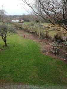 a park with a bench in the grass at Ty Newydd in Llangadog