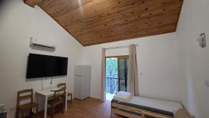 a living room with a couch and a tv on the wall at Platres Villas in Kato Platres
