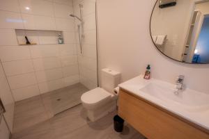 a bathroom with a toilet and a sink and a mirror at Totara Haven in Twizel +24 photos
