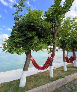 a row of trees with hammocks on the beach at Aragast White Beach in Sevan +8 photos