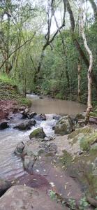 a stream of water with rocks in a forest at Cabaña Familiar con arroyo sobre Ruta 12 II in Santa Ana +3 photos
