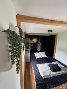 a small bedroom with a bed and a potted plant at Samosiejka SPA Słońsko in Słońsko +80 photos