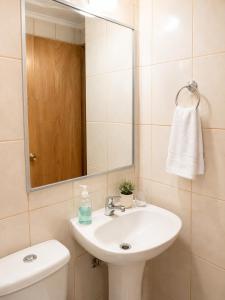 a bathroom with a sink and a mirror at Hostal y piezas individuales in Coihaique
