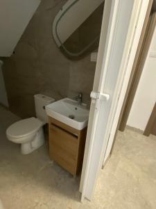 a bathroom with a white toilet and a sink at Kuća za odmor Aranđelovac in Arandelovac +6 photos