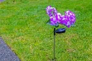a purple flower on a pole in the grass at Bright Maple Suite in Richmond