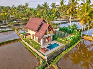 an aerial view of a house with a swimming pool at Nandikara Villa in Payangan