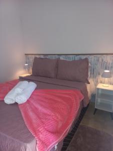 a bedroom with a bed with a red blanket at Pousada Maia em Flor chale azul in Resende
