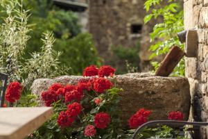 Cambarco的住宿－Posada El Azufral，石墙旁的一束红花