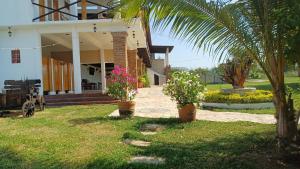 Jardí fora de Casa Bugambilia