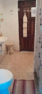 a bathroom with a shower and a toilet and a sink at Recanto da Serra e camping in Itamonte