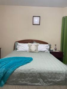 a bedroom with a bed with a blue blanket on it at The Cozy Haven Bed and Breakfast in Montego Bay