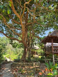 a tree and a gazebo next to a tree at Jansom Bungalow 2 in Ko Phayam +27 photos
