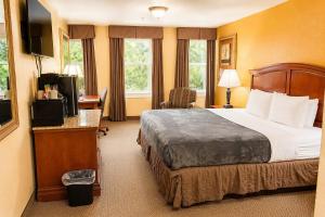 a hotel room with a bed and a television at The O'Brien Riverwalk Hotel, Trademark Collection by Wyndham in San Antonio