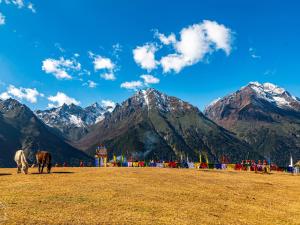 a horse standing in a field with mountains in the background at Drukyul Kora Tours & Treks in Thimphu
