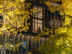an office building with a christmas tree in the window at Niccolo Chengdu in Chengdu