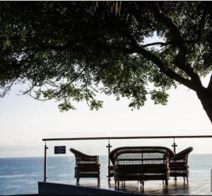 Gallery image of Casa Hotel Roger's in Atacames