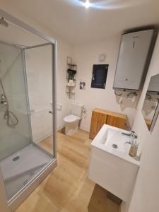 a bathroom with a shower and a sink and a toilet at Tiny House - Studio in Eygurande-et-Gardedeuil