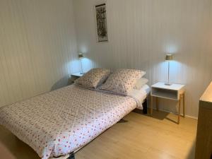 a bedroom with a bed with two pillows on it at Le Clapot- Les Iris in Saint-Étienne
