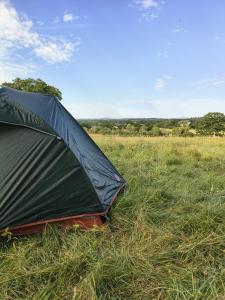 a tent sitting in the grass in a field at Hilltop Farm Camping in Haselbury Bryan