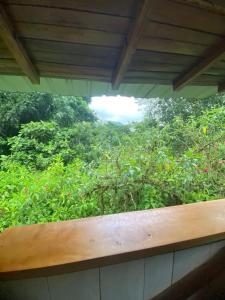 a porch with a view of a lush green forest at Hotel El Abrazo del Arbol in Mindo